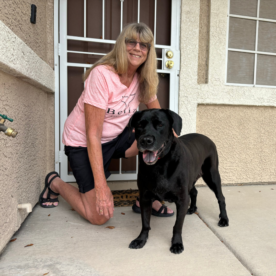 Duke, a 'boring' Las Vegas dog returned for napping too much, has new foster home