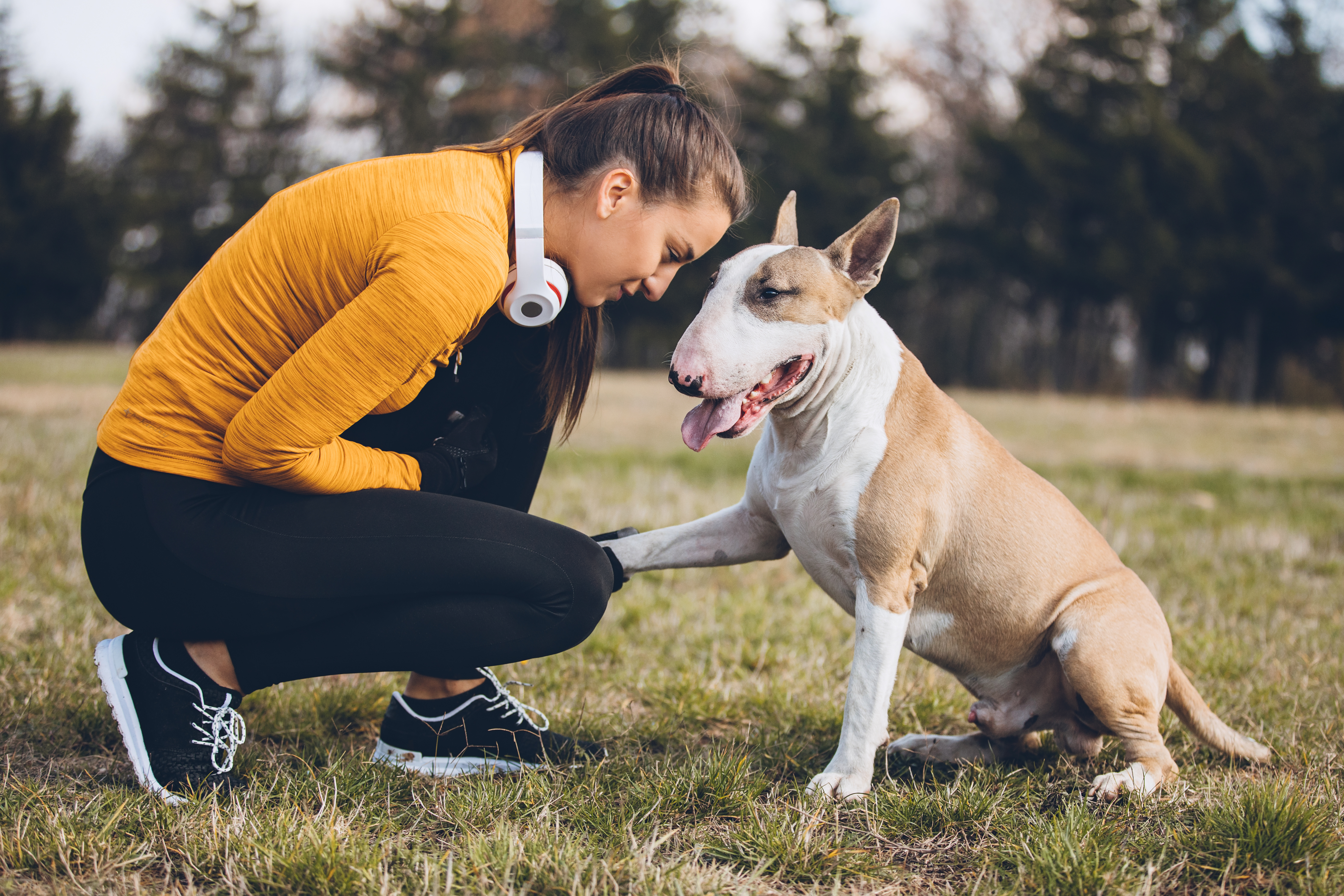 10 Safety Tips for Exercising with Your Dog