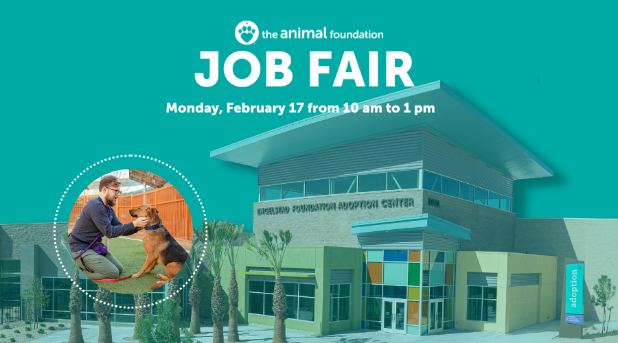 The Animal Foundation Job Fair