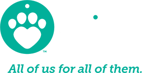 Lost/Found Search | The Animal Foundation