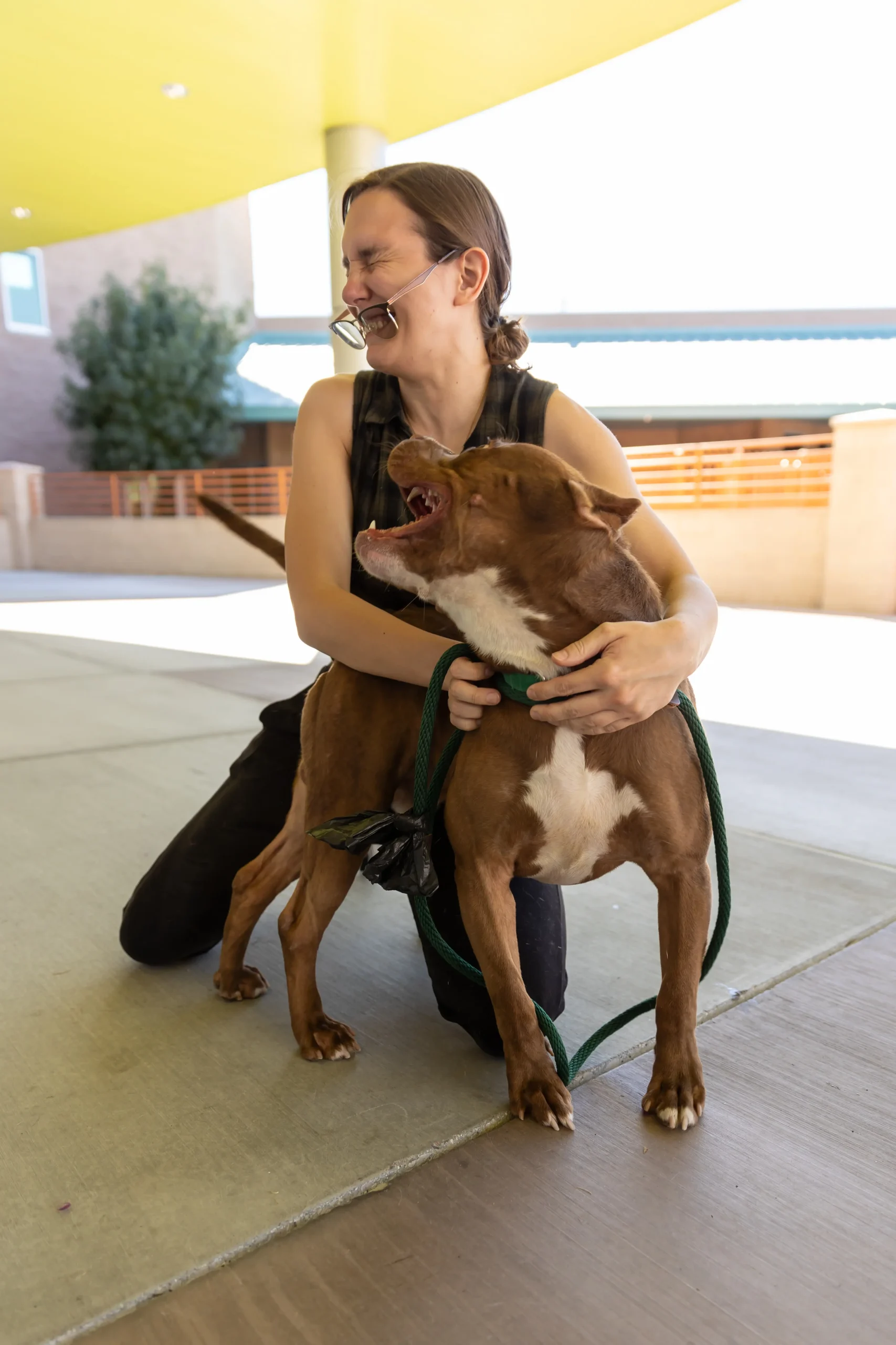 JROD9246 - The Animal Foundation