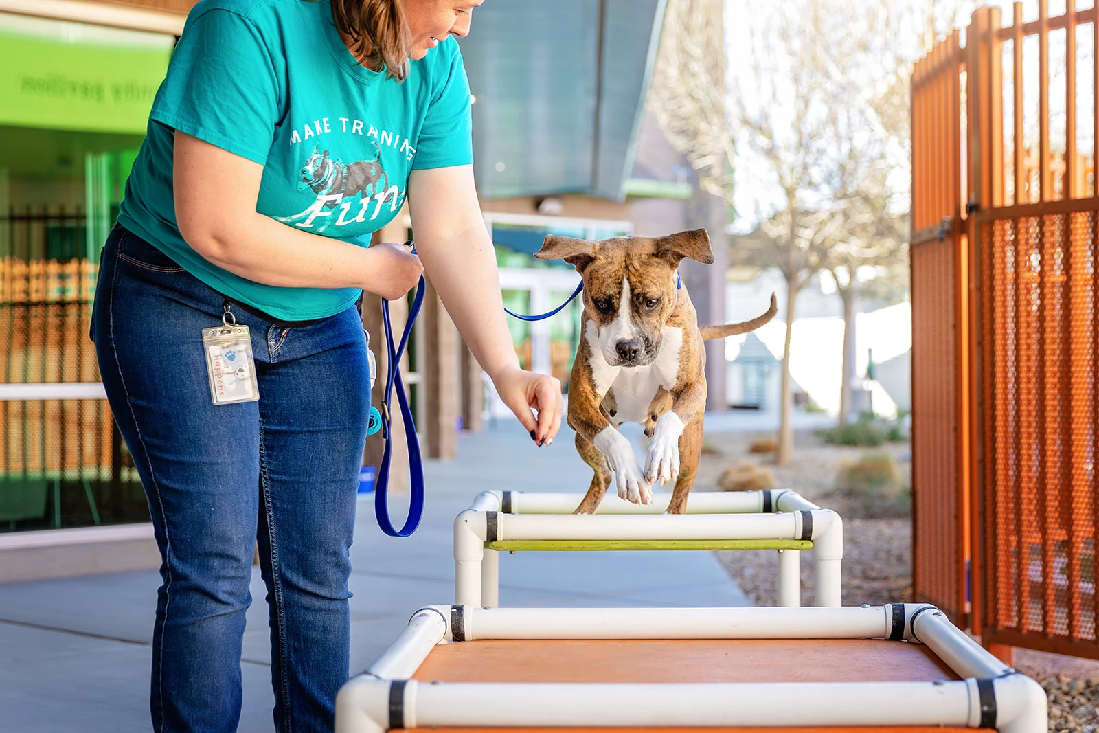 JROD9320_websize - The Animal Foundation