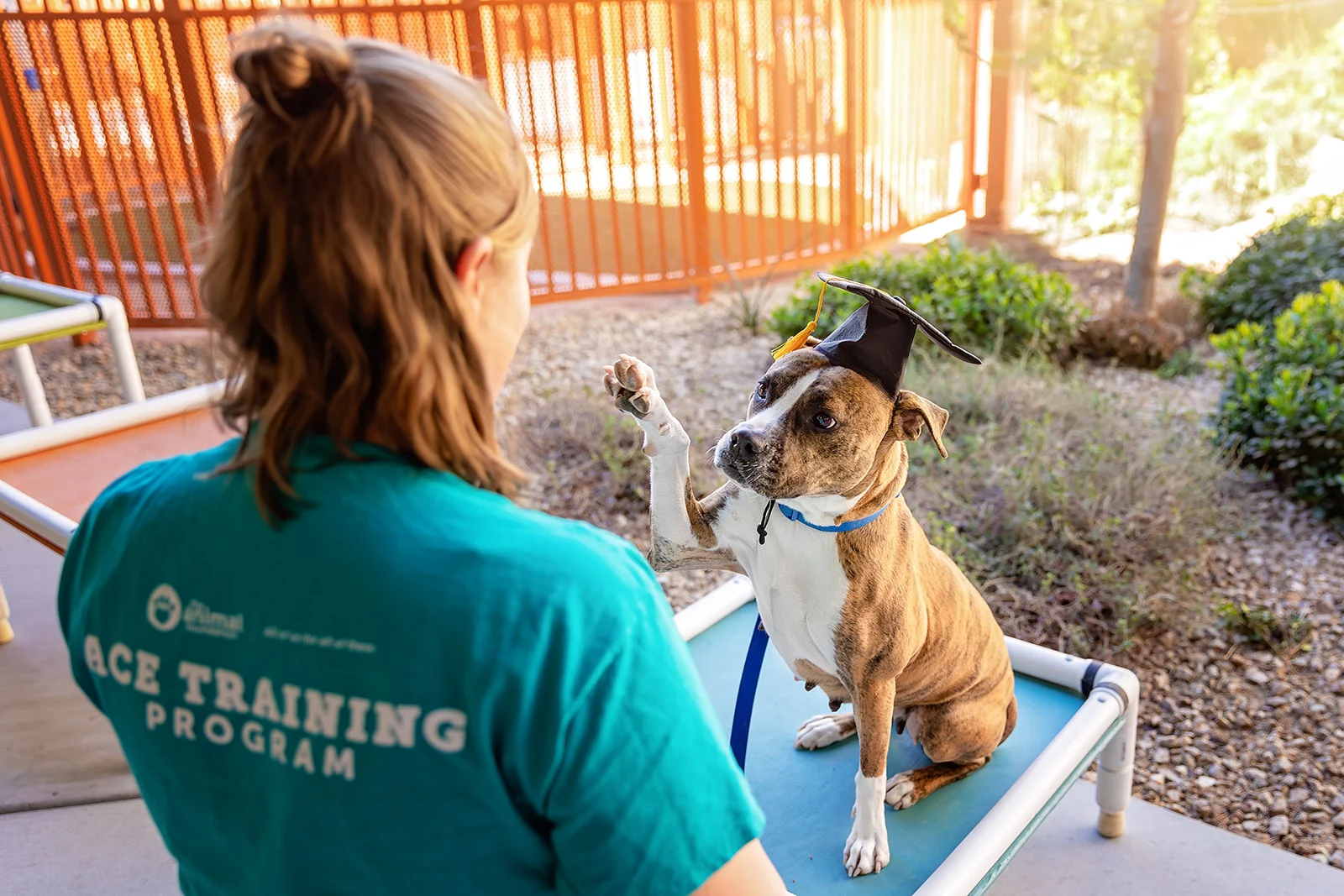 JROD9615_websize - The Animal Foundation