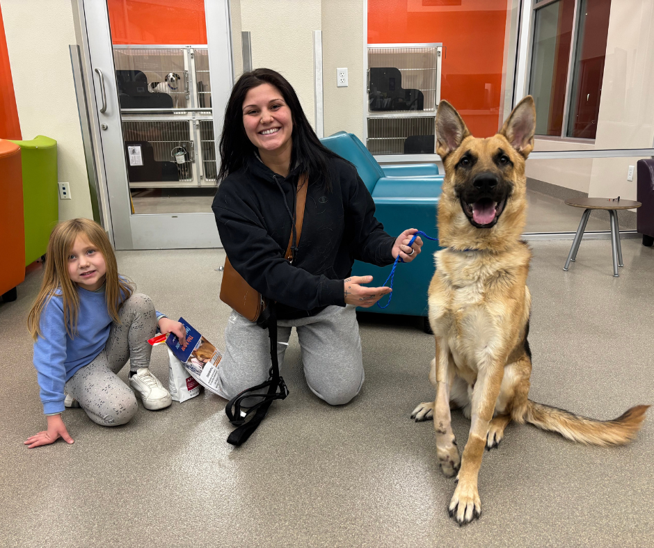 Rupert Adoption Photo web.png