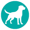 Dog Icon