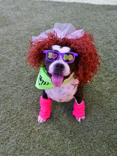 Totally 80s Adoption Event 