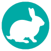 Rabbit Icon