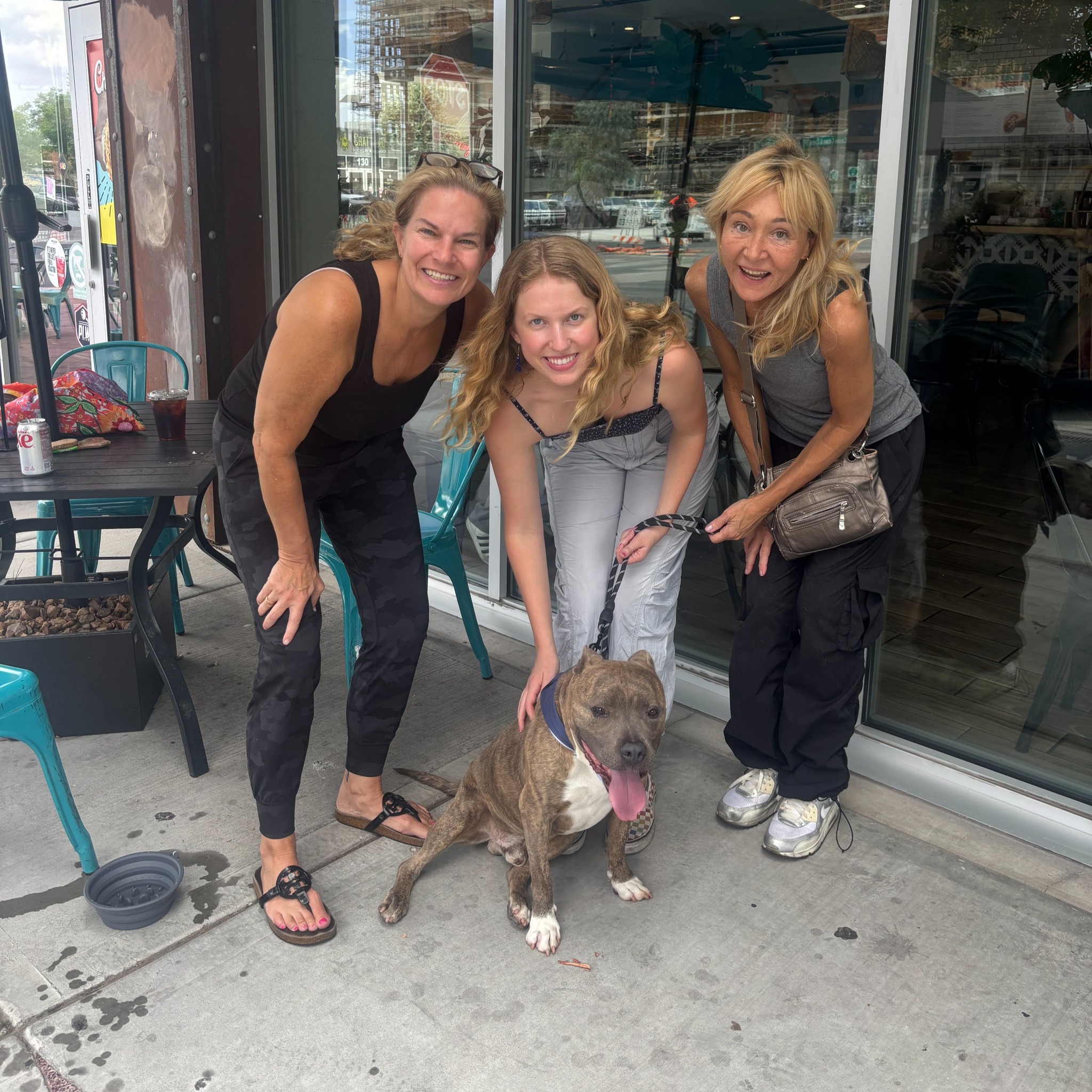 FFT Downtown - The Animal Foundation