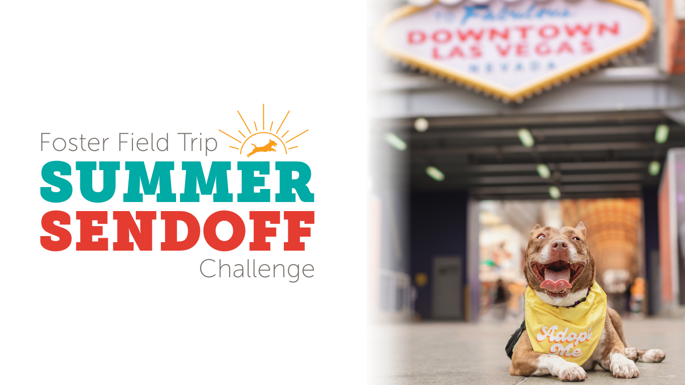 FFT Summer Sendoff Event Header