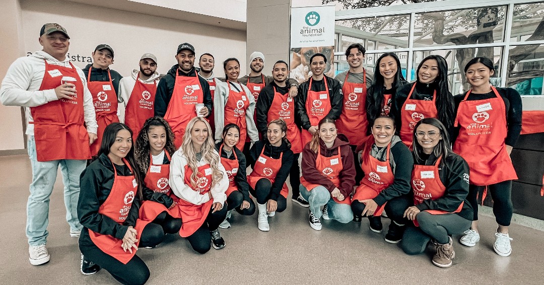 Wynn Volunteers - The Animal Foundation