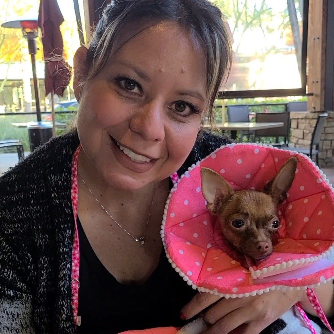 dPUx0qVk - The Animal Foundation