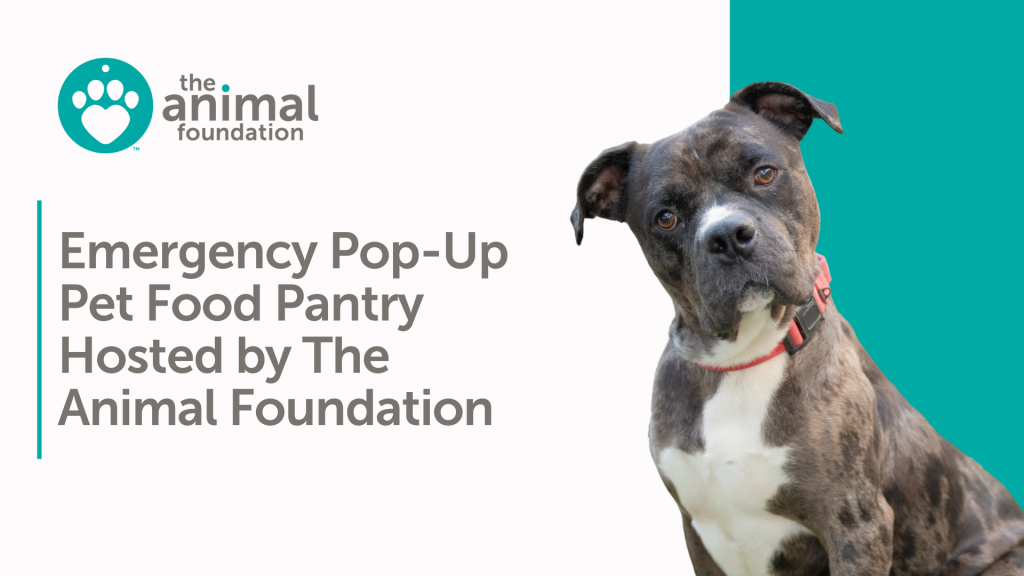 Emergency Pet Food Pantry Website News Thumbnail - The Animal Foundation