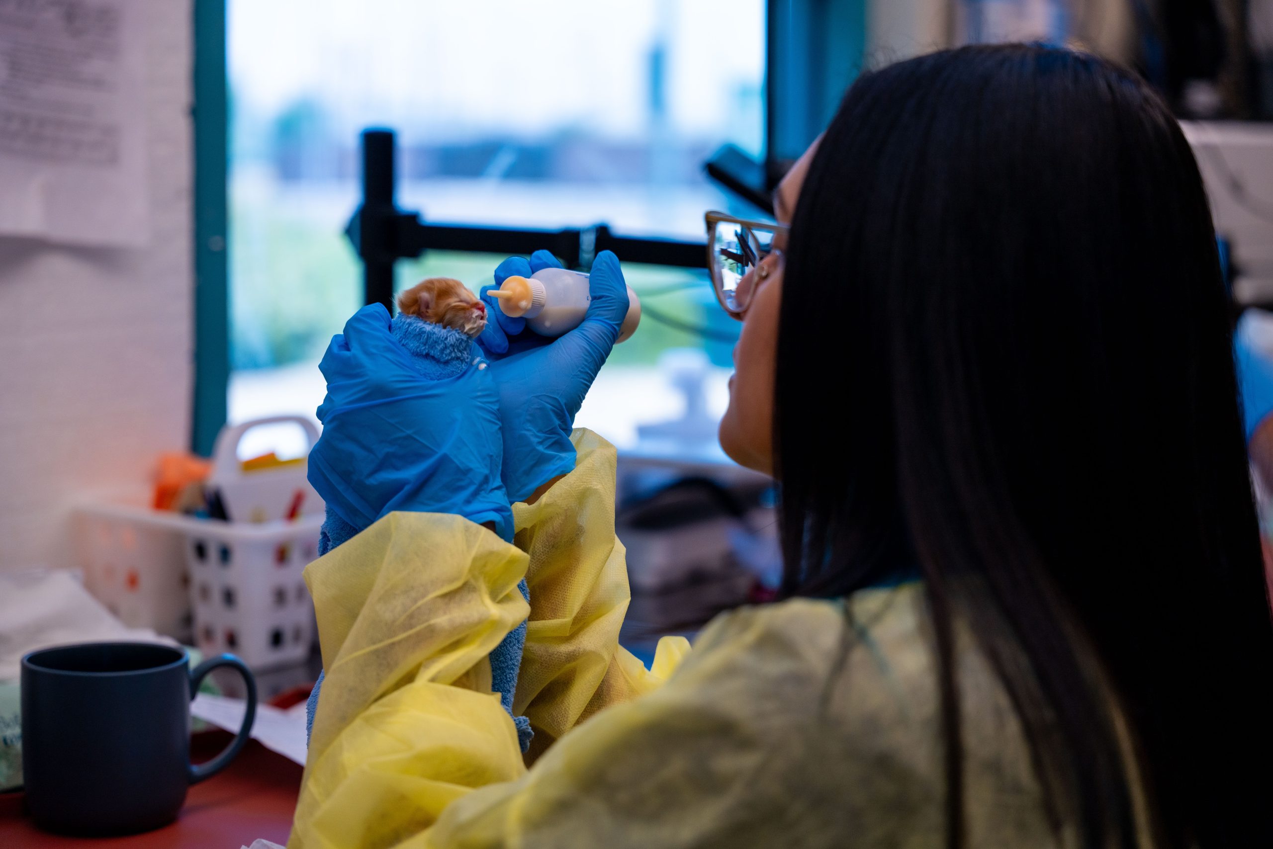 P1301436 - The Animal Foundation