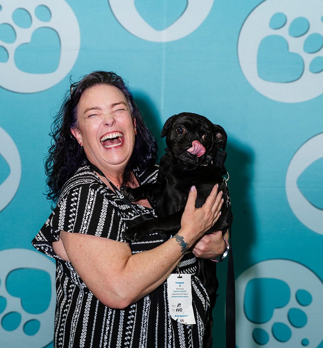 Best in Show - The Animal Foundation