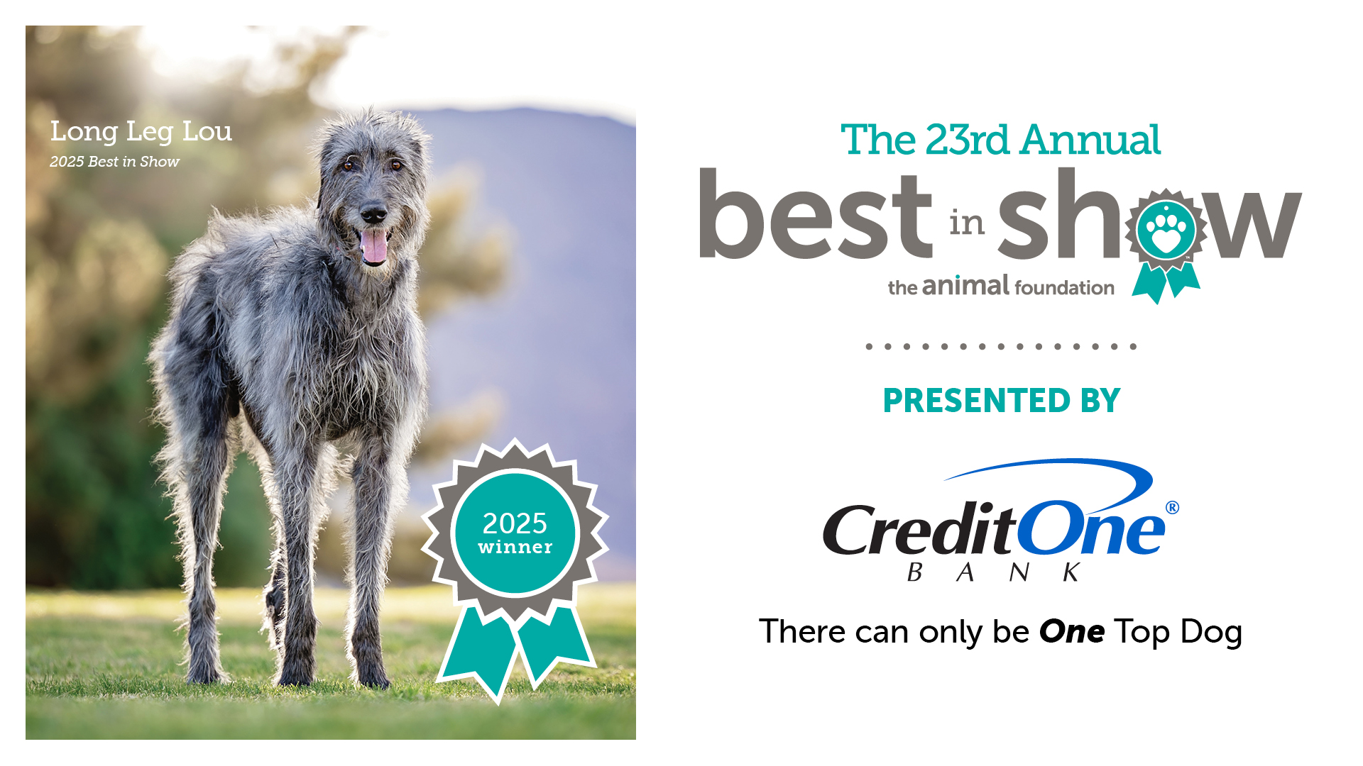 23rd Annual Best in Show - The Animal Foundation