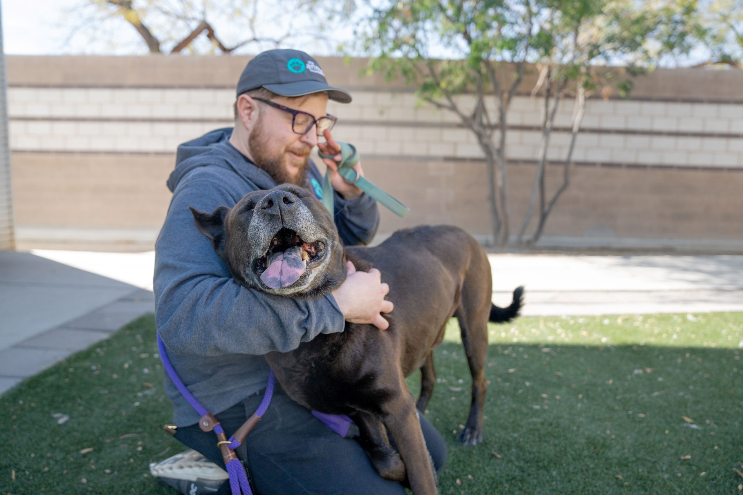 zuzu-4 - The Animal Foundation