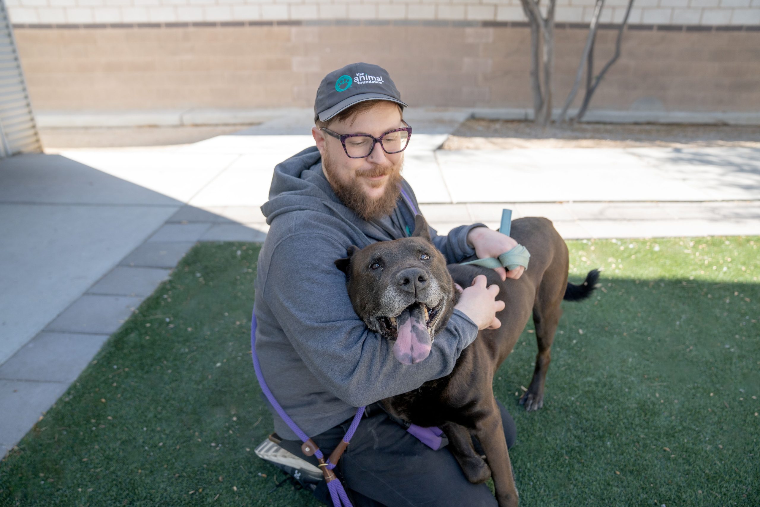 zuzu-5 - The Animal Foundation