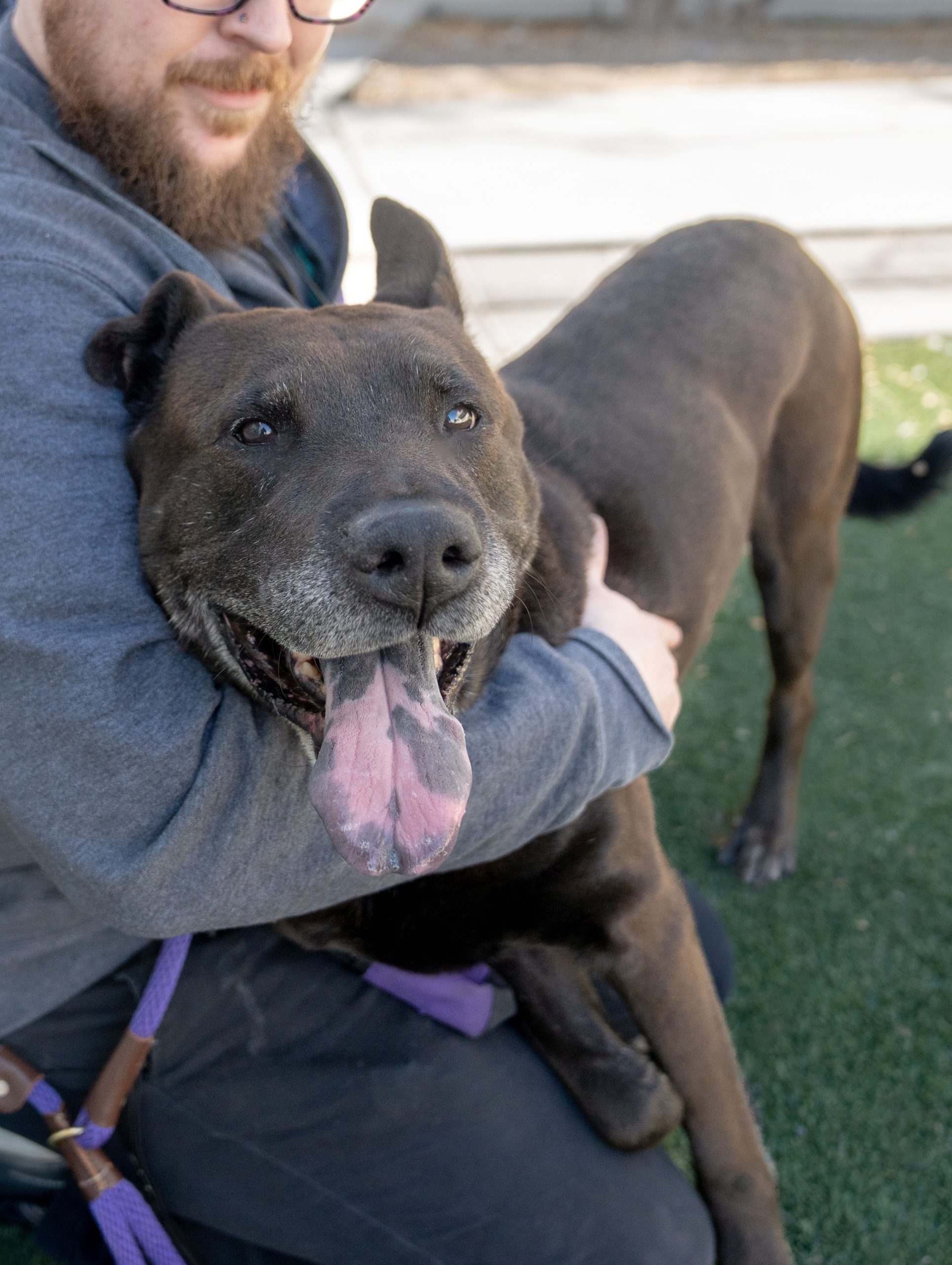 zuzu-6 - The Animal Foundation